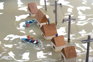 最近、多い水害…その対策は？